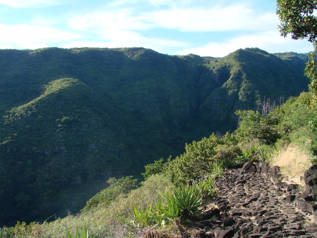 Parc National Réunion 
